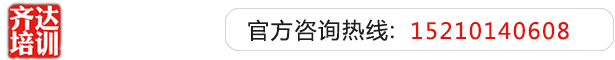 爆操欧洲白虎齐达艺考文化课-艺术生文化课,艺术类文化课,艺考生文化课logo